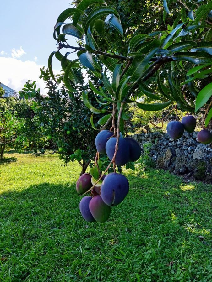 Santo Antonio A Fonteアパートメント エクステリア 写真